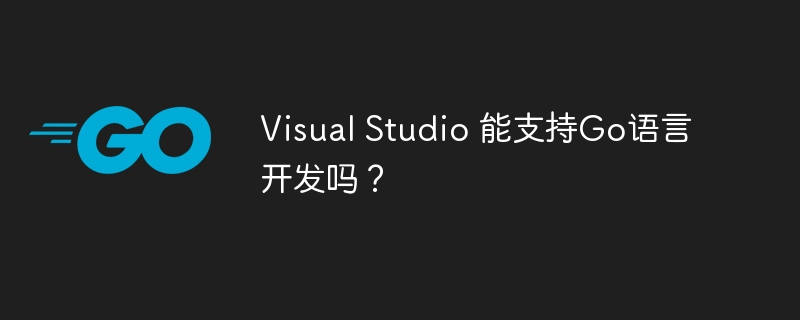 visual studio 能支持go语言开发吗?