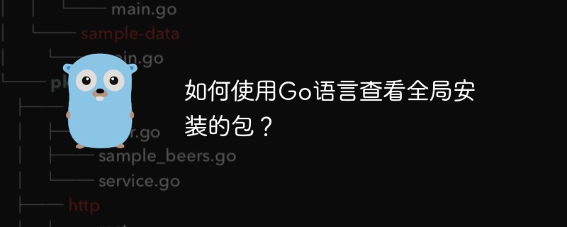 如何使用go语言查看全局安装的包？
