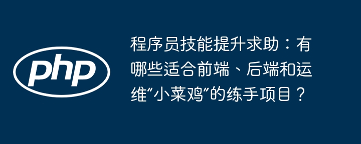 程序员技能提升求助:有哪些适合前端、后端和运维“小菜鸡”的练手项目?