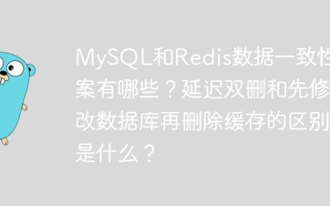 MySQL和Redis数据一致性方案有哪些？延迟双删和先修改数据库再删除缓存的区别是什么？