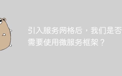 引入服务网格后，我们是否还需要使用微服务框架？