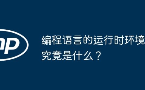 编程语言的运行时环境究竟是什么？