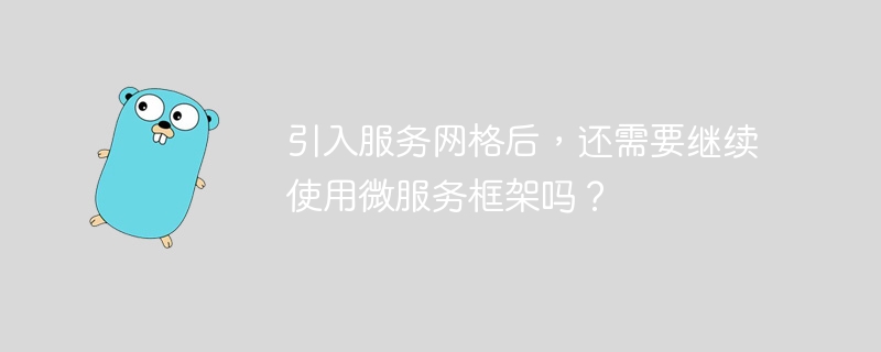 引入服务网格后,还需要继续使用微服务框架吗?