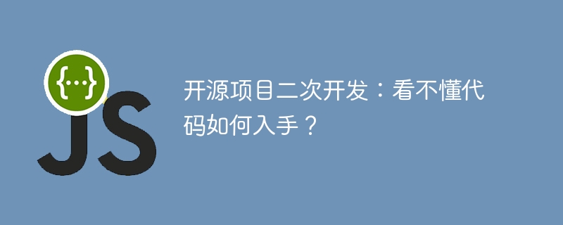 开源项目二次开发:看不懂代码如何入手?