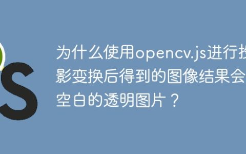 为什么使用opencv.js进行投影变换后得到的图像结果会是空白的透明图片？