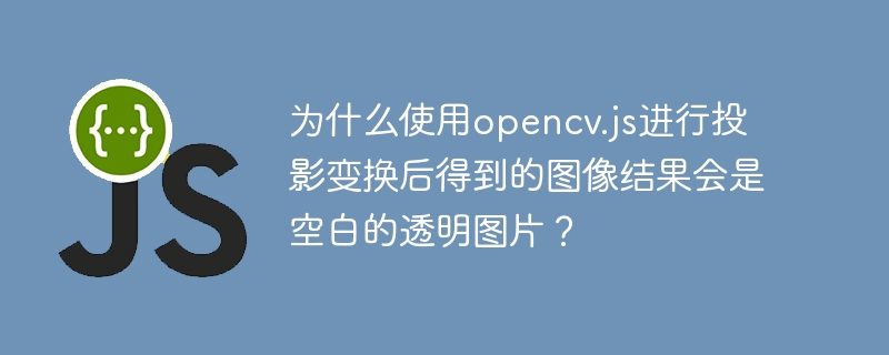 为什么使用opencv.js进行投影变换后得到的图像结果会是空白的透明图片?