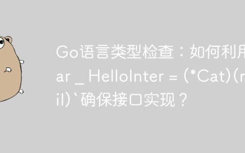 Go语言类型检查：如何利用`var _ HelloInter = (*Cat)(nil)`确保接口实现？