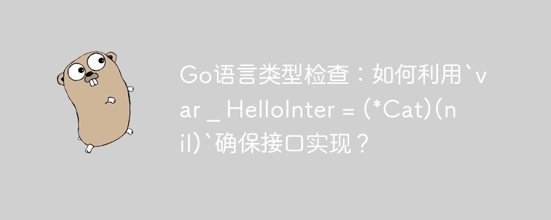 Go语言类型检查:如何利用`var _ HelloInter = (*Cat)(nil)`确保接口实现?