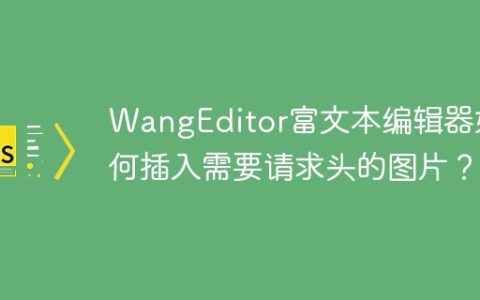 WangEditor富文本编辑器如何插入需要请求头的图片？