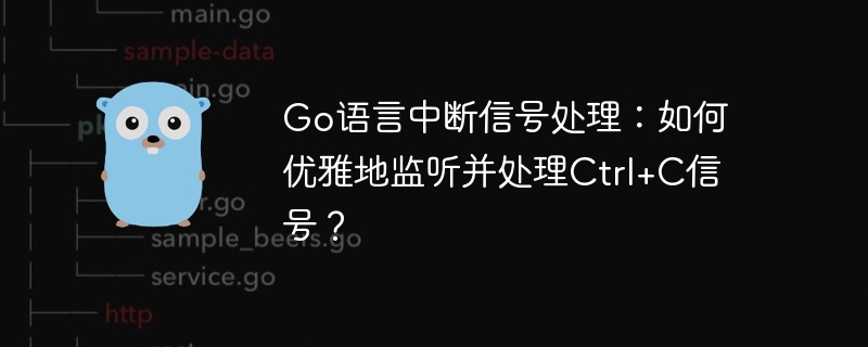go语言中断信号处理:如何优雅地监听并处理ctrl+c信号?