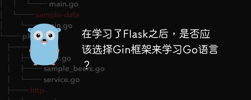 在学习了flask之后,是否应该选择gin框架来学习go语言?