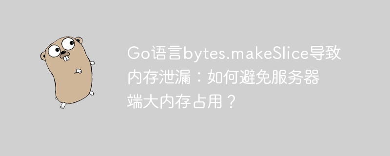 go语言bytes.makeslice导致内存泄漏:如何避免服务器端大内存占用?