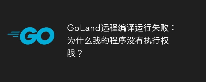goland远程编译运行失败:为什么我的程序没有执行权限?