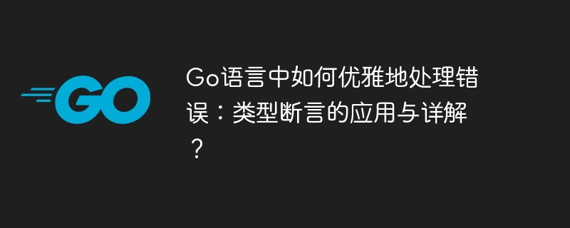 go语言中如何优雅地处理错误:类型断言的应用与详解?
