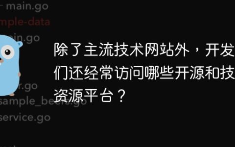 除了主流技术网站外，开发者们还经常访问哪些开源和技术资源平台？