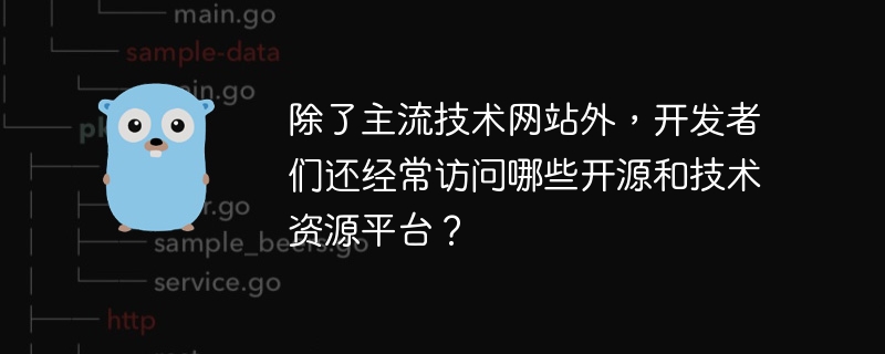 除了主流技术网站外,开发者们还经常访问哪些开源和技术资源平台?