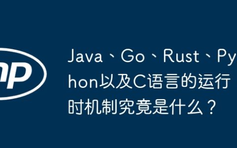 Java、Go、Rust、Python以及C语言的运行时机制究竟是什么？