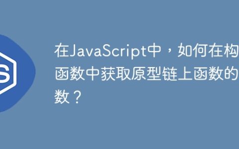 在JavaScript中，如何在构造函数中获取原型链上函数的参数？
