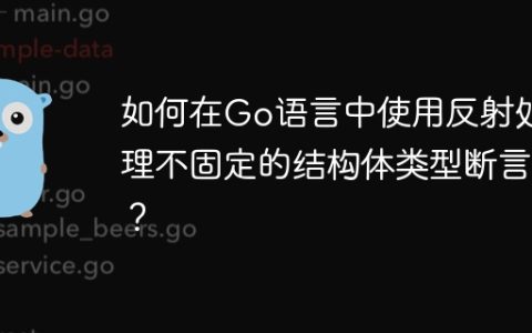 如何在Go语言中使用反射处理不固定的结构体类型断言？