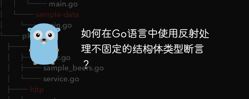 如何在Go语言中使用反射处理不固定的结构体类型断言?