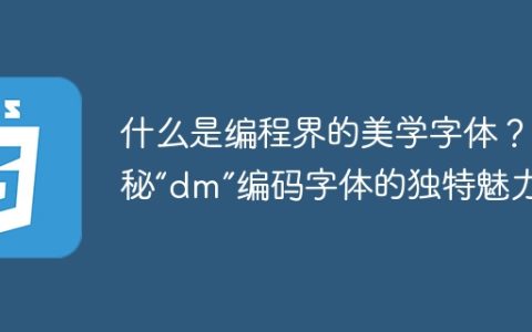 什么是编程界的美学字体？揭秘“dm”编码字体的独特魅力