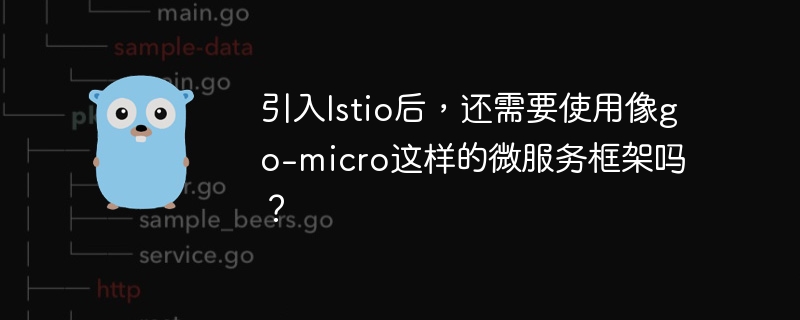 引入istio后,还需要使用像go-micro这样的微服务框架吗?