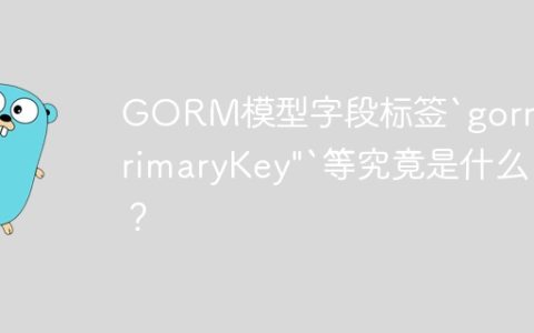 GORM模型字段标签`gorm:"primaryKey"`等究竟是什么？