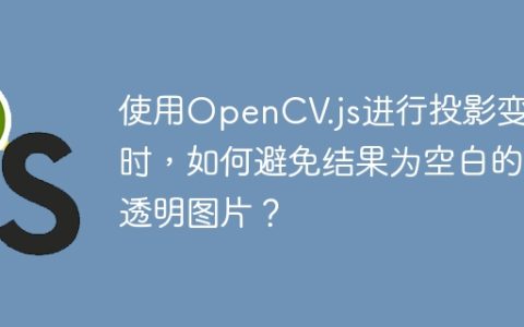 使用OpenCV.js进行投影变换时，如何避免结果为空白的透明图片？
