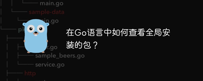 在go语言中如何查看全局安装的包?