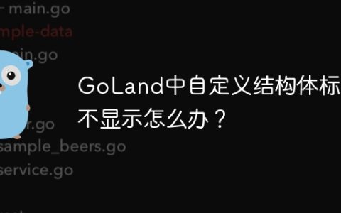 GoLand中自定义结构体标签不显示怎么办？