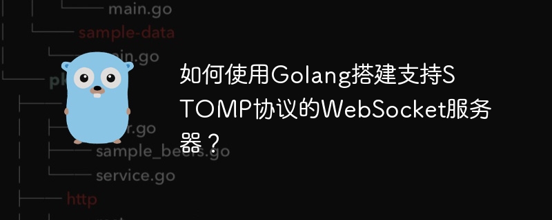 如何使用golang搭建支持stomp协议的websocket服务器?