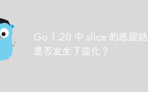 Go 1.20 中 slice 的底层结构是否发生了变化？
