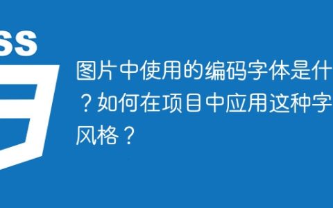 图片中使用的编码字体是什么？如何在项目中应用这种字体风格？