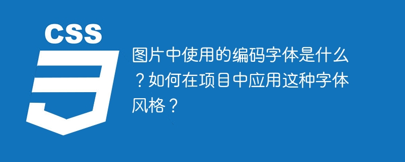 图片中使用的编码字体是什么?如何在项目中应用这种字体风格?