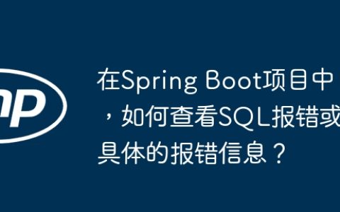 在Spring Boot项目中，如何查看SQL报错或具体的报错信息？