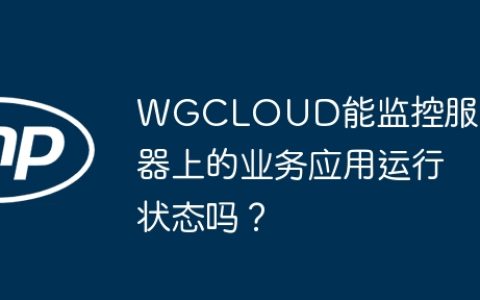 WGCLOUD能监控服务器上的业务应用运行状态吗？