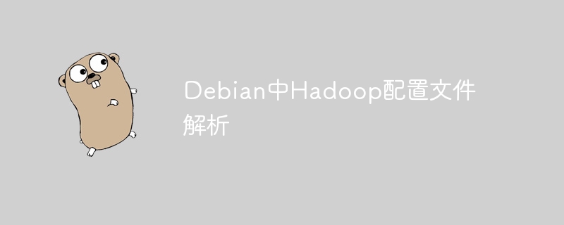 debian中hadoop配置文件解析