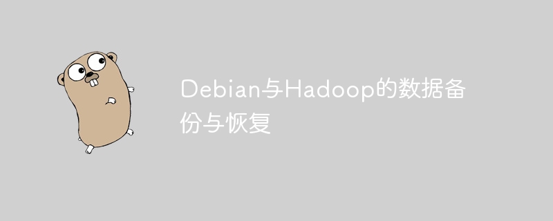 debian与hadoop的数据备份与恢复