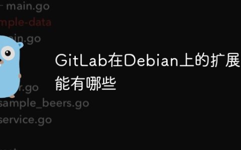 GitLab在Debian上的扩展功能有哪些