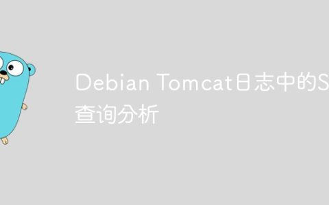 Debian Tomcat日志中的SQL查询分析