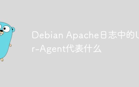 Debian Apache日志中的User-Agent代表什么