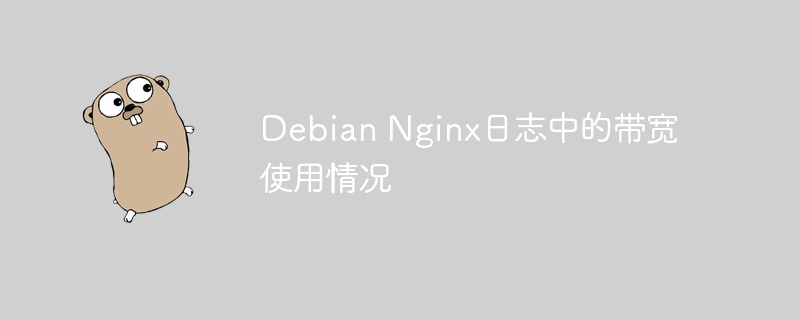 debian nginx日志中的带宽使用情况