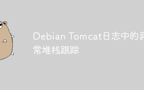 Debian Tomcat日志中的异常堆栈跟踪