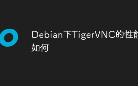 Debian下TigerVNC的性能如何