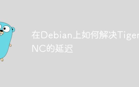 在Debian上如何解决TigerVNC的延迟
