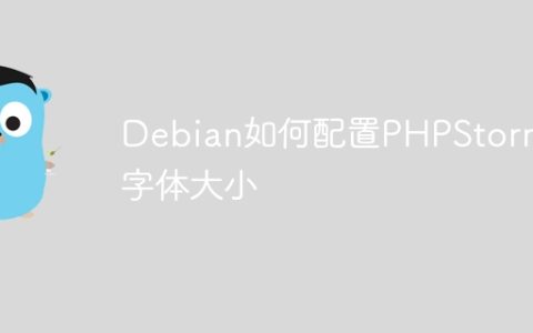 Debian如何配置PHPStorm的字体大小