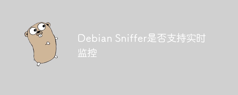 debian sniffer是否支持实时监控