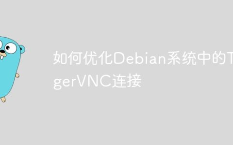 如何优化Debian系统中的TigerVNC连接