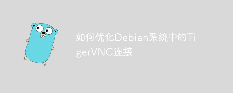 如何优化debian系统中的tigervnc连接