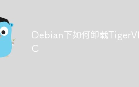 Debian下如何卸载TigerVNC